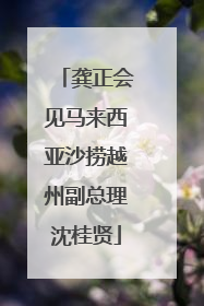 龚正会见马来西亚沙捞越州副总理沈桂贤