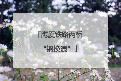 鹰厦铁路两桥“钢换混”
