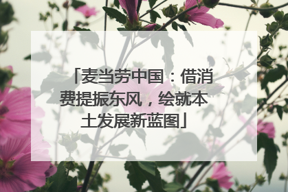 麦当劳中国：借消费提振东风，绘就本土发展新蓝图