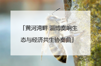 黄河湾畔 淄博奏响生态与经济共生协奏曲
