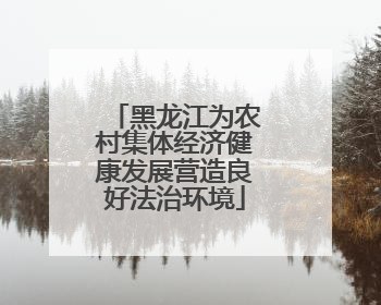 黑龙江为农村集体经济健康发展营造良好法治环境