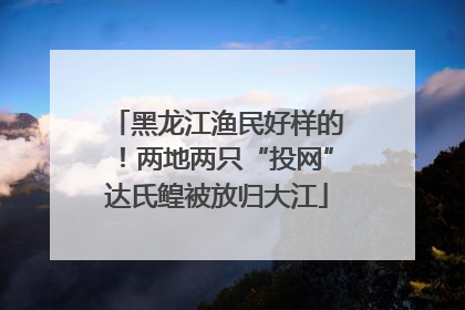 黑龙江渔民好样的！两地两只“投网”达氏鳇被放归大江