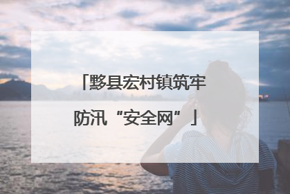 黟县宏村镇筑牢防汛“安全网”