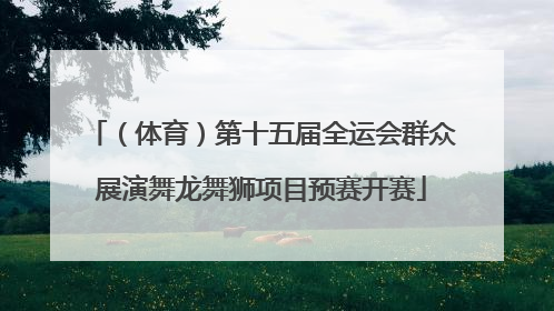 （体育）第十五届全运会群众展演舞龙舞狮项目预赛开赛
