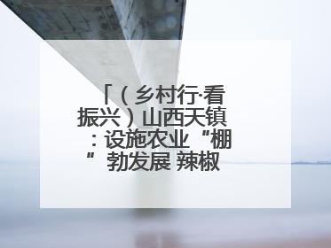（乡村行·看振兴）山西天镇：设施农业“棚”勃发展 辣椒产业蓄势待发