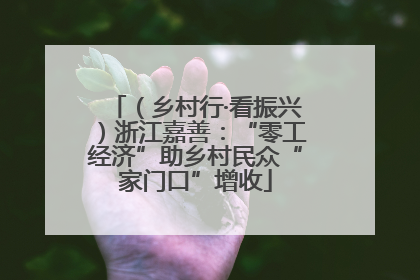 （乡村行·看振兴）浙江嘉善：“零工经济”助乡村民众“家门口”增收