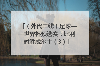 （外代二线）足球——世界杯预选赛：比利时胜威尔士（3）