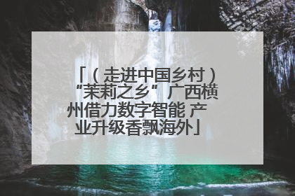 （走进中国乡村）“茉莉之乡”广西横州借力数字智能 产业升级香飘海外
