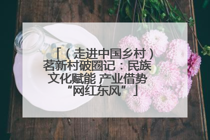 （走进中国乡村）茗新村破圈记：民族文化赋能 产业借势 “网红东风”