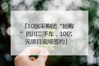 10国采购团“抢购”四川二手车，10亿元项目现场签约