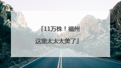 11万株！福州这里太太太美了
