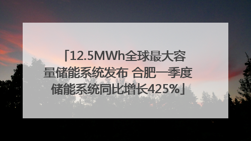 12.5MWh全球最大容量储能系统发布 合肥一季度储能系统同比增长425%