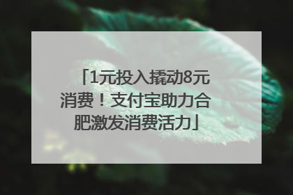 1元投入撬动8元消费！支付宝助力合肥激发消费活力