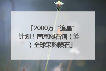 2000万“追星”计划！南京陨石馆（筹）全球采购陨石