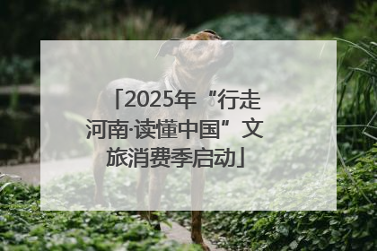 2025年“行走河南·读懂中国”文旅消费季启动