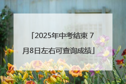 2025年中考结束 7月8日左右可查询成绩