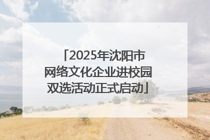 2025年沈阳市网络文化企业进校园双选活动正式启动