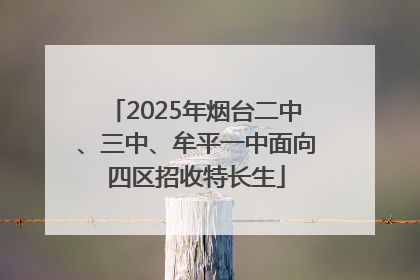 2025年烟台二中、三中、牟平一中面向四区招收特长生