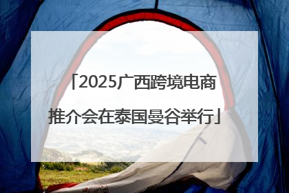2025广西跨境电商推介会在泰国曼谷举行