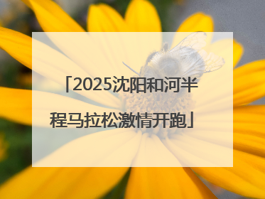 2025沈阳和河半程马拉松激情开跑