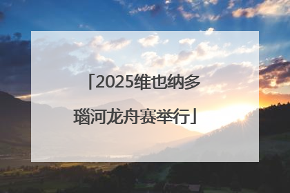 2025维也纳多瑙河龙舟赛举行