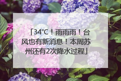 34℃！雨雨雨！台风也有新消息！本周苏州还有2次降水过程
