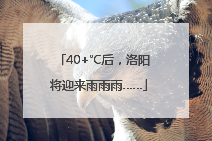 40+℃后，洛阳将迎来雨雨雨……
