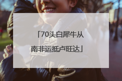 70头白犀牛从南非运抵卢旺达