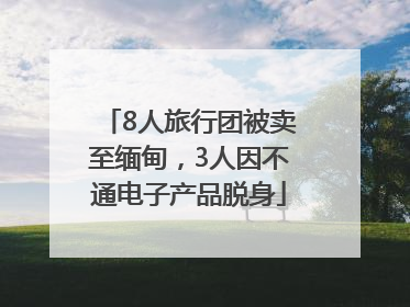 8人旅行团被卖至缅甸，3人因不通电子产品脱身