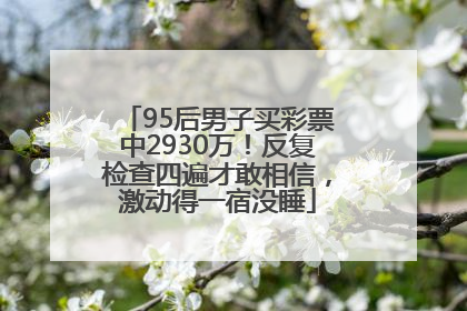 95后男子买彩票中2930万！反复检查四遍才敢相信，激动得一宿没睡