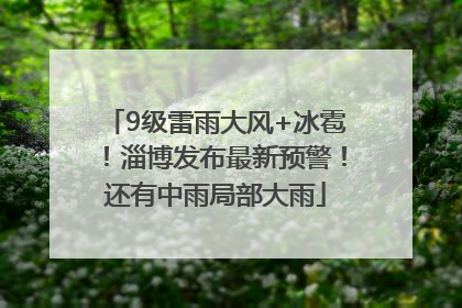 9级雷雨大风+冰雹！淄博发布最新预警！还有中雨局部大雨