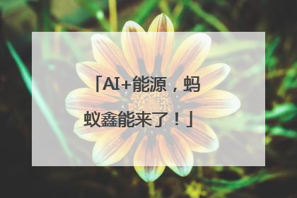 AI+能源，蚂蚁鑫能来了！