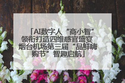 AI数字人“商小智”领衔打造四维感官盛宴 烟台机场第三届“品鲜嗨购节”智趣启航