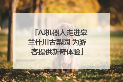 AI机器人走进皋兰什川古梨园 为游客提供新奇体验