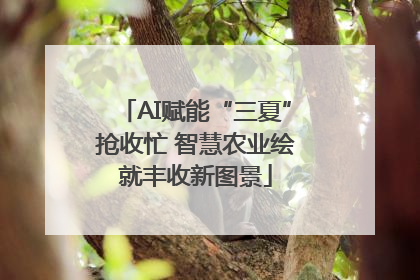 AI赋能“三夏”抢收忙 智慧农业绘就丰收新图景