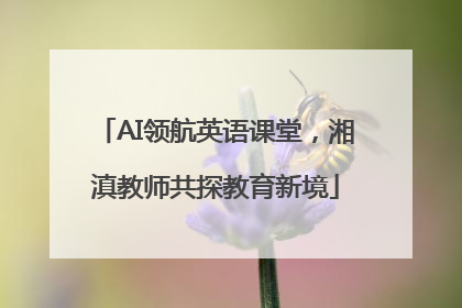 AI领航英语课堂，湘滇教师共探教育新境