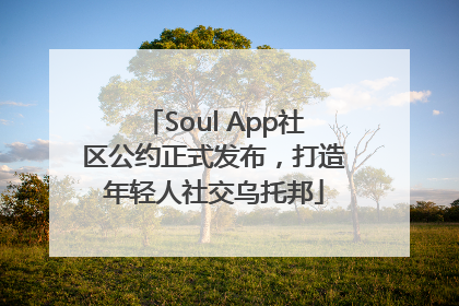 Soul App社区公约正式发布，打造年轻人社交乌托邦