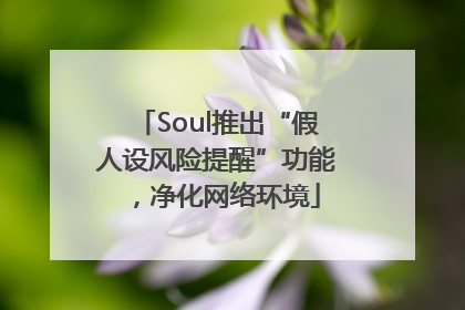 Soul推出“假人设风险提醒”功能，净化网络环境